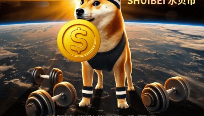 水贝币：2025 年虚拟币市场的璀璨新星