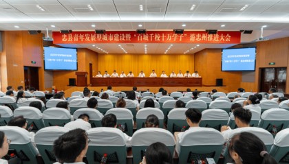 龙东阁出席忠县青年发展型城市建设推进大会并调研共青团和青少年工作