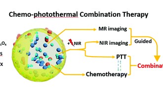 负载紫杉醇的牛血清白蛋白纳米粒子被半胱氨酸Cys修饰的Fe3O4和CuS（硫化铜纳米晶体）修饰 PTX@BSA@Fe3O4/CuS-Cys