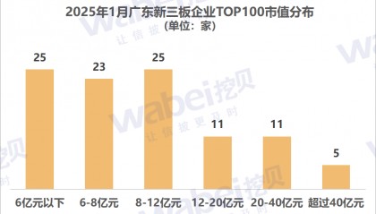 2025年1月广东新三板企业市值TOP100：21家企业冲击北交所