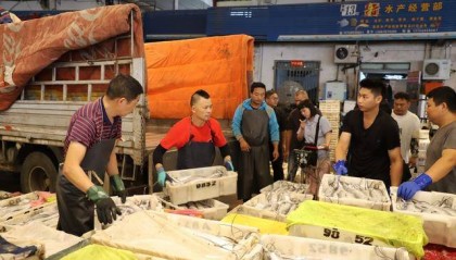 “首网”海鲜上岸 量多价格亲民