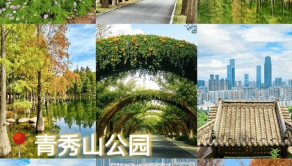 报团去桂林三日游多少钱人民币？舒适！去桂林有必要跟团嘛