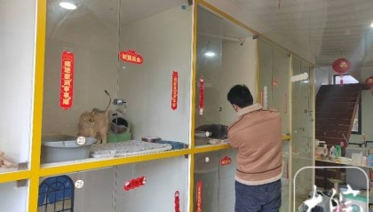 春节假期，宣城“宠物酒店”一“房”难求 上门遛狗、喂猫“忙飞了”