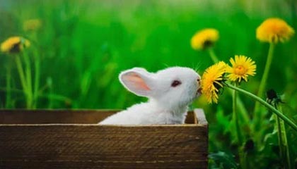 美的申请多联机集控网关设备管理专利 可缩短多联机集控网关设备配网时间