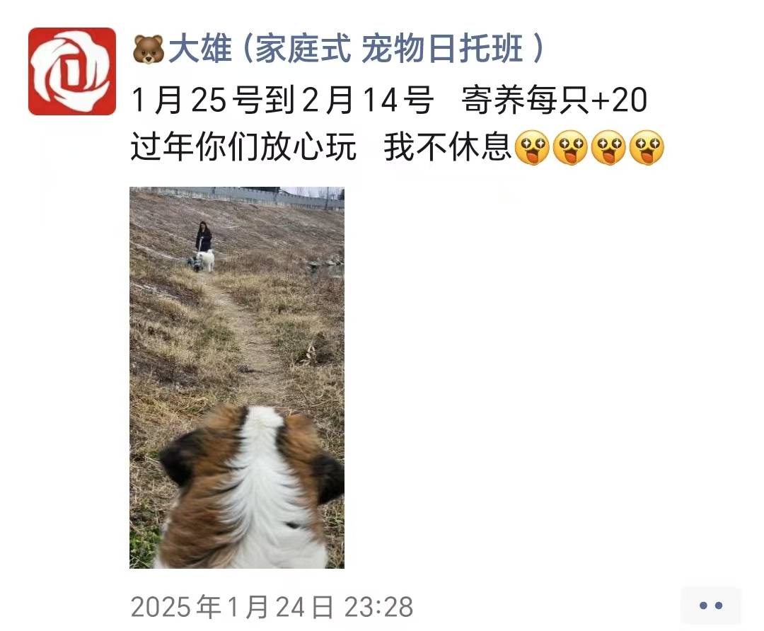 春节假期,宣城“宠物酒店”一“房”难求 上门遛狗、喂猫“忙飞了”