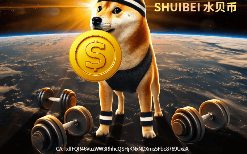 水贝币:2025 年虚拟币市场的璀璨新星