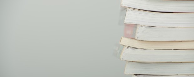 ZF是什么意思啊