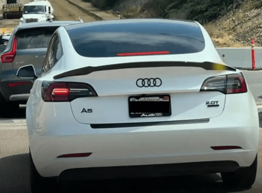 特斯拉站在全球暴风眼