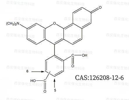 试剂5-(and-6)-carboxy SNARF-1, Cell Impermeant细胞生物学研究