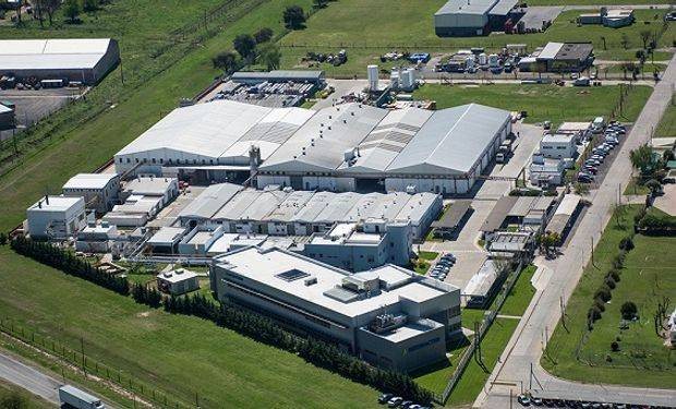 凤凰农资节:全新除草剂四氟咯草胺取得全球首个登记!