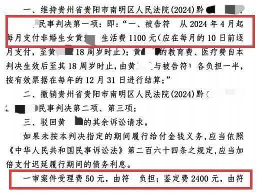 百万粉丝网红出轨粉丝意外产子不给抚养费,法院判其月付抚养费1100元
