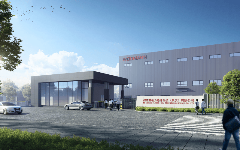 全球巨头,落子武汉