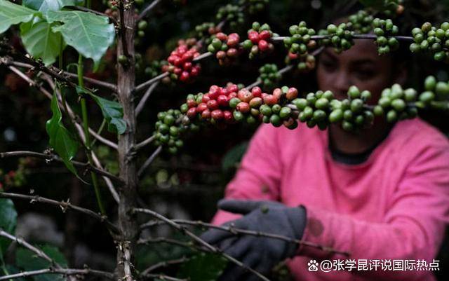 倒计时72小时,中国做了决定,卢拉最担心的事,5年都不用愁了