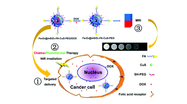 Fe3O4纳米粒子被叶酸,硫化铜纳米晶体和聚乙二醇修饰负载阿霉素的介孔二氧化硅包裹 Fe3O4@DOX@mSi02-FA/CuS/PEG