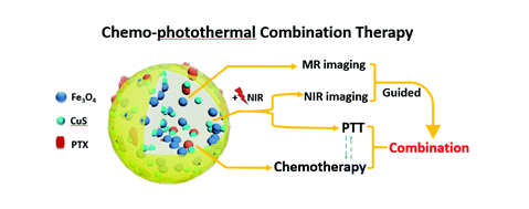 负载紫杉醇的牛血清白蛋白纳米粒子被半胱氨酸Cys修饰的Fe3O4和CuS(硫化铜纳米晶体)修饰 PTX@BSA@Fe3O4/CuS-Cys