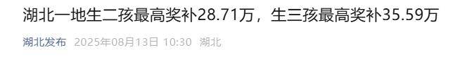 湖北一地宣布:生二孩最高奖补28万、生三孩35万