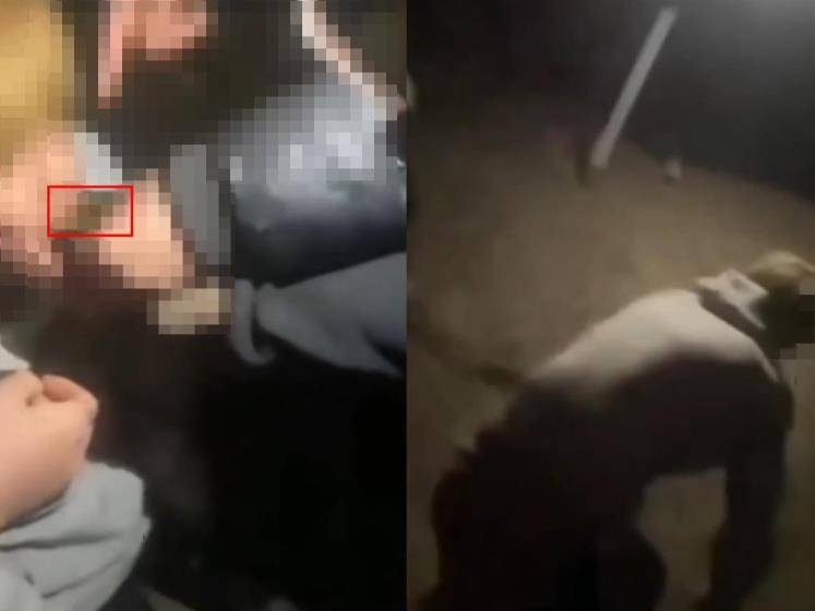 16岁男生遭多人欺辱殴打,被逼跪地爬行学狗叫,警方:社会青年之间矛盾引起,已立案调查