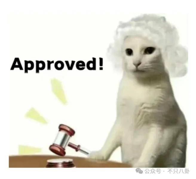 姐终于离了,这次总算是摆脱不靠谱的老公和强势的婆婆了!