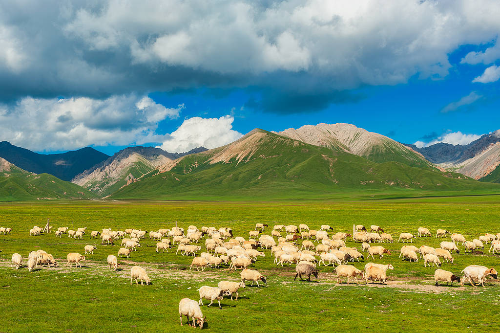 喜马拉雅山烟花秀风波,审批是否合规才是重点