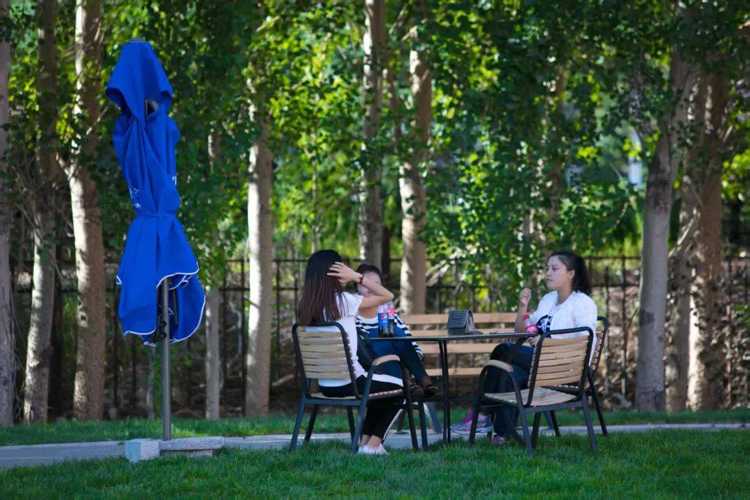 初见·龙外丨学习散步两相宜 静谧书阁+湖畔清风 学习累了就去湖边散个步！