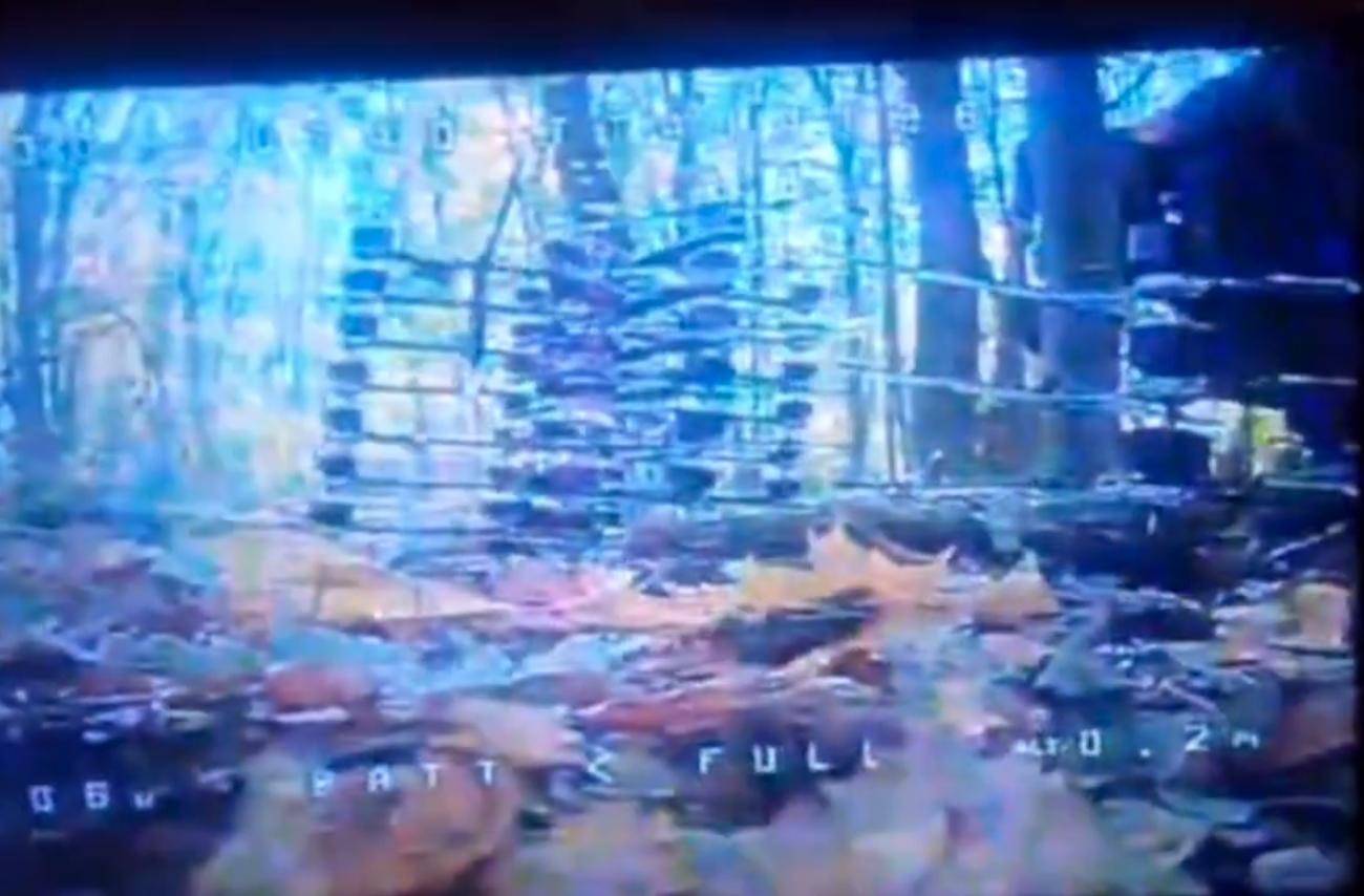 1万朝鲜特种兵凭空消失?苏梅全线告急,乌克兰截获绝密前线情报