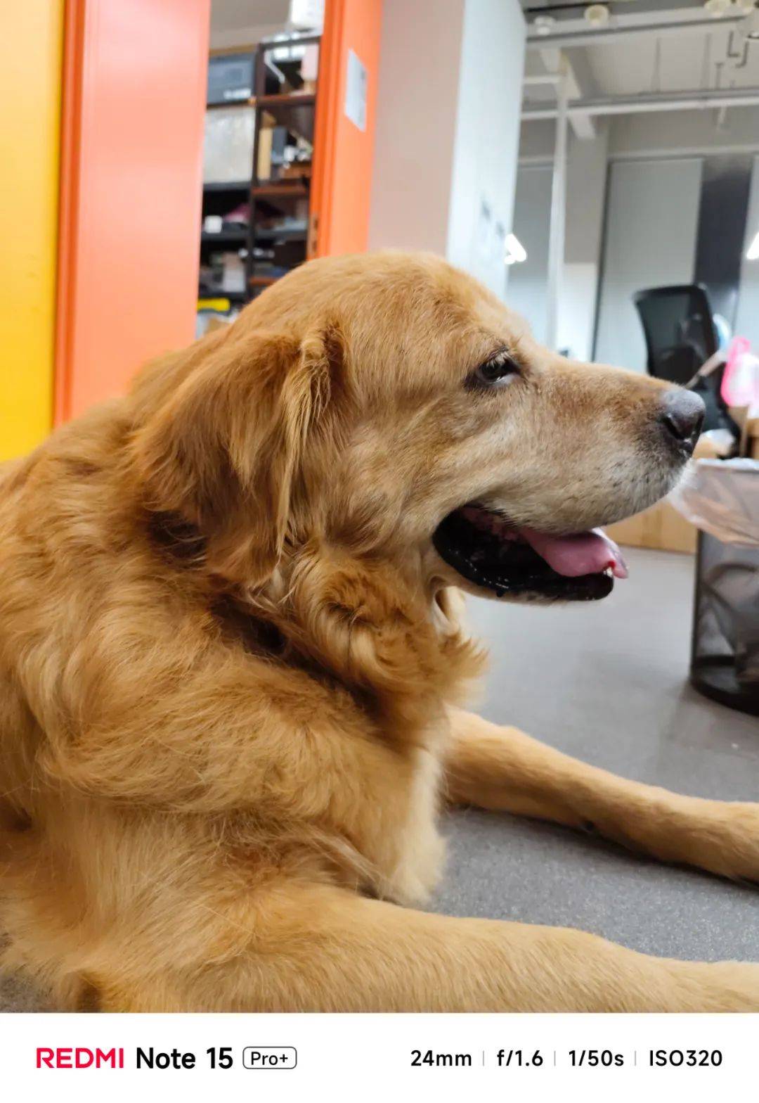 不追求极致性能的红米,还是好红米吗?