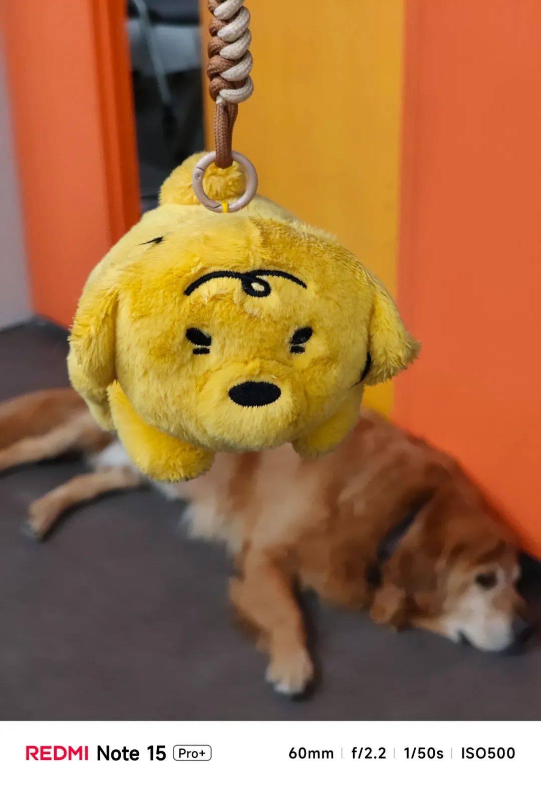 不追求极致性能的红米,还是好红米吗?